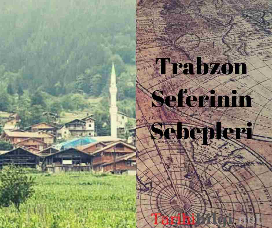 Trabzon Seferinin Sebepleri